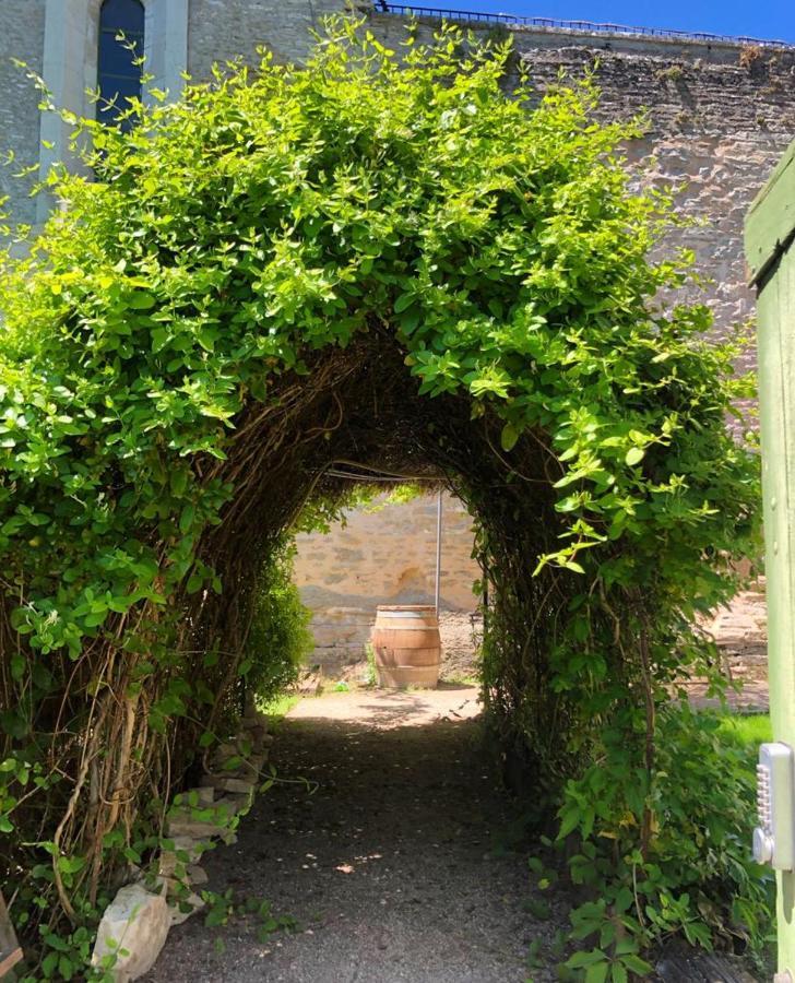 Côté-Serein - Domaine de Venoise Noyers-sur-Serein Exterior foto