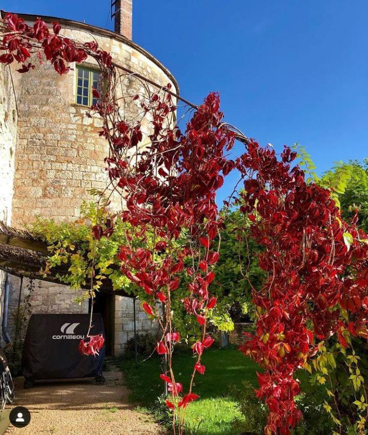 Côté-Serein - Domaine de Venoise Noyers-sur-Serein Exterior foto