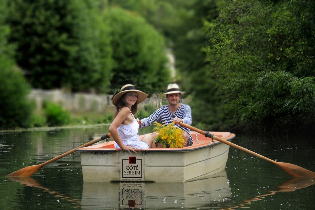 Côté-Serein - Domaine de Venoise Noyers-sur-Serein Exterior foto